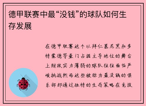 德甲联赛中最“没钱”的球队如何生存发展